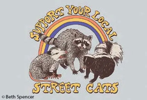 Support Your Local Street Cats Magnet - Sweets and Geeks