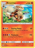 Arcanine - 22/149 - SM Base Set