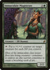Immaculate Magistrate (MP) - Lorwyn - 219/301