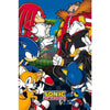 Sonic vs Dr. Eggman Poster