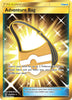 Adventure Bag (Secret) - SM - Lost Thunder #228/214