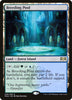 Breeding Pool (Foil) - #246/259 - Ravnica Allegiance