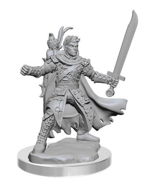 Dungeons & Dragons Frameworks: W02A Male Half-Elf Ranger - Sweets and Geeks