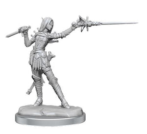 Pathfinder Legendary Cuts: W02A Female Elf Rogue - Sweets and Geeks