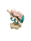 Tomy Pokemon Moncolle Plus Suicune Figure - Sweets and Geeks