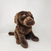 Chesapeake Retriever 12" Plush