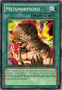 Metamorphosis (Unlimited Edition) - Pharaonic Guardian - PGD-090