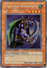 Panther Warrior(Limited) (Secret Rare) - 2005 Collectors Tin - CT2-EN0006