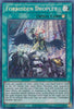 Forbidden Droplet (1st Edition) (Secret Rare) - Brothers of Legend - BROL-EN090