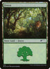 Forest (Foil) (576) - Secret Lair Drop Series - #576