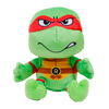Ty Plush Floppy: Raphael (SNG6)