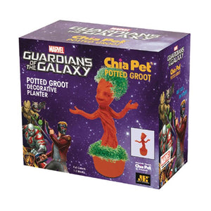 Chia Pet Marvel - Groot Planted - Sweets and Geeks