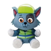 Paw Patrol: Rocky Beanie Babies