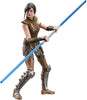 Hasbro Star Wars The Black Series - Star Wars: The Old Republic - Satele Shan (Gaming Greats)