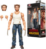 Marvel Legends Series: Deadpool & Wolverine - The Cavillrine