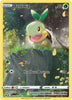 Turtwig - SWSH: Crown Zenith: Galarian Gallery - GG31/GG70