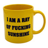 Giant Ray of Fucking Sunshine Mug