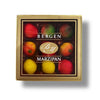 Marzipan Fruit Assortment Gift Box - 4oz (SNG12)