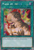 Metamorphosis (Platinum Secret Rare) (1st Edition) - Quarter Century Stampede - RA04-EN123