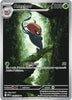 Accelgor (IR) - 094/086 - White Flare - English