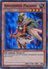 Amazoness Paladin (Super Rare) (1st Edition) - Legendary Collection 4: Joey's World LCJW - EN087