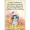 "I Want To Believe" Magnet