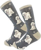 Bichon Frise - Socks