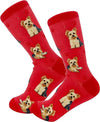 Yorkie - Socks