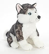 Siberian Husky 12" Plush
