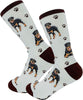 Rottweiler - Socks