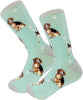 Beagle - Socks