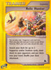 Relic Hunter (Uncommon) - 120/144 - Skyridge
