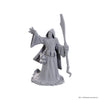 Dungeons & Dragons: Nolzur's Marvelous Unpainted Miniature - W25 Star Spawn Larva Mage