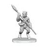 Dungeons & Dragons: Nolzur's Marvelous Unpainted Miniature - W26 Classic Satyr