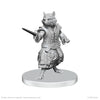 Pathfinder Battles Deep Cuts Unpainted Miniatures - Procyal (Raccoon Agathion) and Zoaem (Ring Archon)