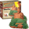 Chia Pet - Indiana Jones