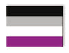 Pride Flags - Asexual Magnet
