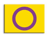 Pride Flags - Intersex Magnet