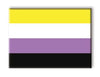 Pride Flags - Non-Binary Magnet
