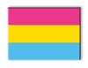 Pride Flags - Pansexual Magnet