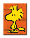 Peanuts - Woodstock Comic Flat Magnet