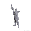 D&D Nolzur's Marvelous Unpainted Minis: Baldur's Gate 3 - Lae'zel & Shadowheart (Special Edition)