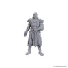 D&D Nolzur's Marvelous Unpainted Minis: Baldur's Gate 3 - Jaheira & Halsin (Special Edition)