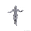 D&D Nolzur's Marvelous Unpainted Minis: Baldur's Gate 3 - Sarevok Anchev & Raphael (Special Edition)