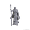D&D Nolzur's Marvelous Unpainted Minis: Baldur's Gate 3 - Volo & Withers (Special Edition)