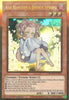 Ash Blossom & Joyous Spring (1st Edition) (Premium Gold Rare) (Alternate Art) - Maximum Gold MAGO-EN011