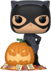 Funko Pop! Heroes: Batman - Catwoman #507 (Gamestop Exclusive)