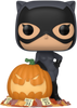Funko Pop! Heroes: Batman - Catwoman #507 (Gamestop Exclusive)