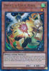 Droll & Lock Bird (1st Edition) (Alternate Art) (Ultra Rare) - 25th Anniversary Rarity Collection II - #RA02-EN006
