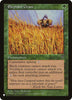 Elephant Grass - The List Reprints